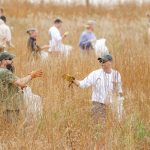 GKS_9633 Team members working in grassy field